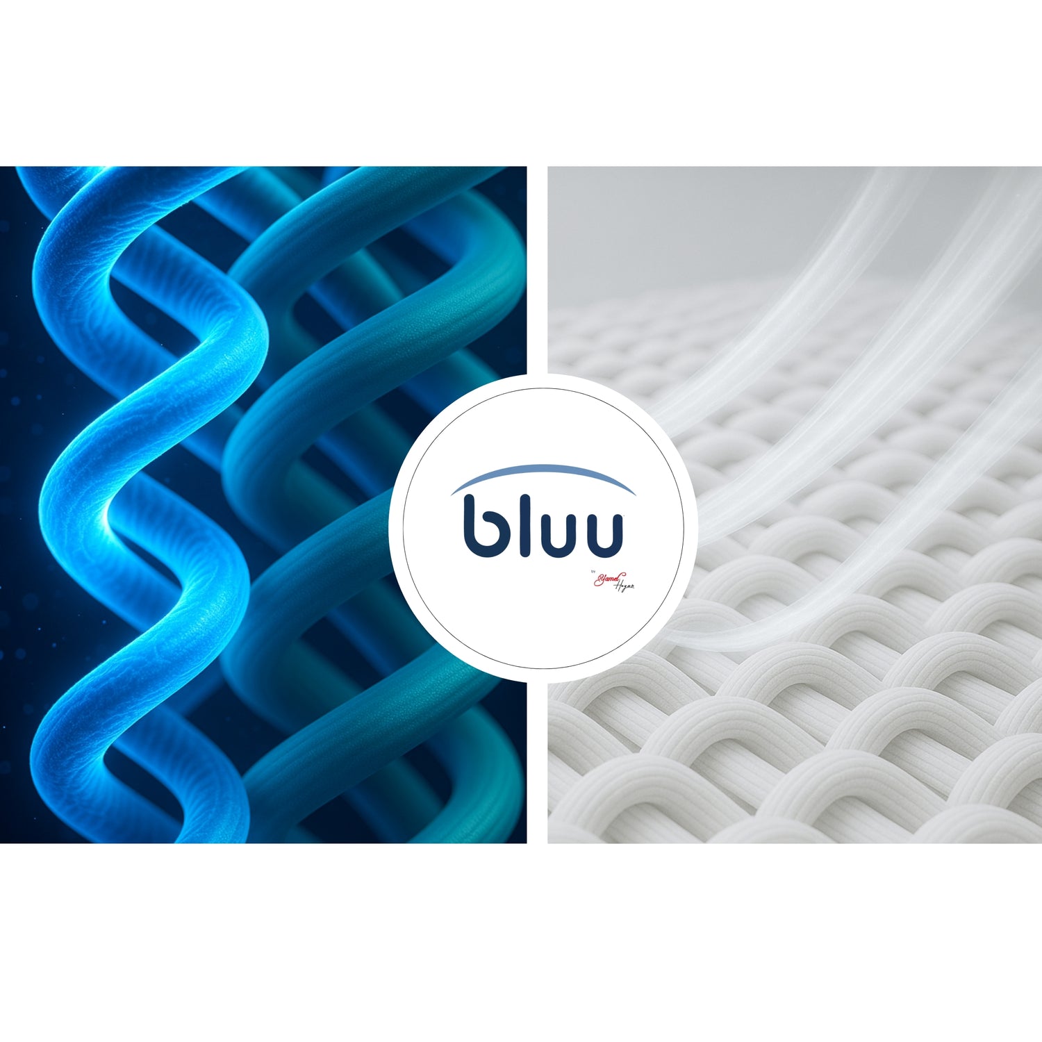 Image with text section